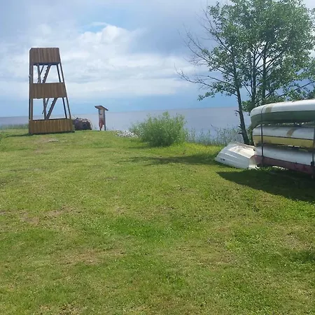 Tammispaeae Camping